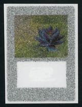swarovski black lotus