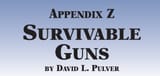 surivable guns