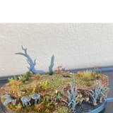 moss