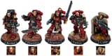 40kbloodravensdow2