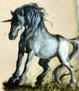 300px-Unicorn_SoM