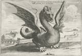 roman-dragon-illustration