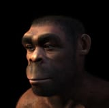 1753461903727
