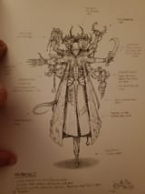 my-aeldari-reference-library-is-finally-complete-with-the-v0-y3zo28uzve7f1