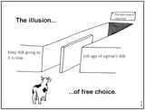 choice