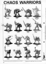 warriors_1