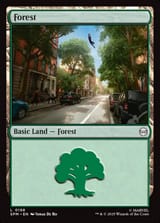 spm-198-forest
