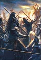 Black Guard vs White Lions