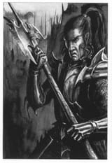 Warhammer-Fantasy-фэндомы-Dark-elves-1344583