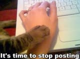 stop