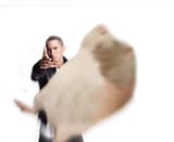 1733118394353695