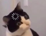 1747333611374851