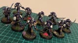 palatine blades