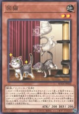 PurrfectLander-ROTA-JP-C