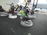 Mandrakes WIP