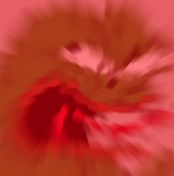 38473847304920492183