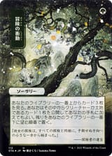 sta-112-adventurous-impulse