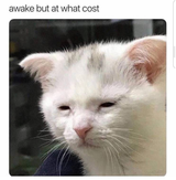 1611859668151