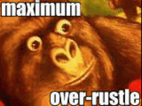 maximum-over-rustle-monkey