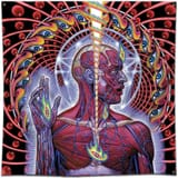 alex-gray-lateralus-tool-album-artwork