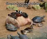 chilling out