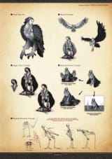 Dragon&#039;s Dogma ODW 194