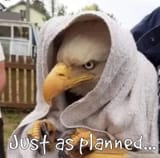 tzeentch eagle just as planned