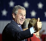 bush