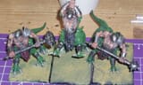 Dragonorgreswip5