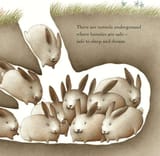 comfy bunnies