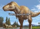 18139279817