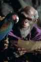 1980s_fantasy_adventure_film._dark_shadowy_lair._clo_c4f95e91-def4-4d98-896c-f9c0959a28ba_2 (1)_thumb.jpg