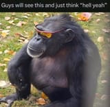 1740110690364364