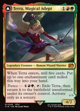 fin-245-terra-magical-adept