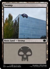 swamp