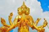 Brahma-4-Head
