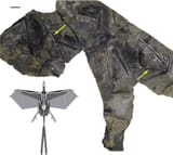 the-yi-qi-is-known-from-only-a-single-fossil-found-in-china-v0-pll9raiwzxv81