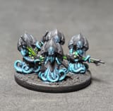 little space squids