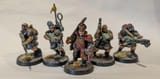 Drookian commissar