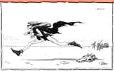 desert strider