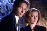 x_files