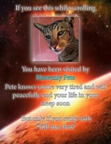 17539437982065810