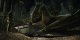 smaug