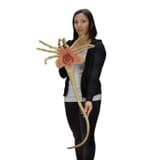 n3-eca-alien-facehugger-rlife-size-eplica-prop