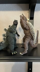 IMG_5827