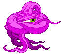 shuma g