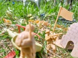 20250604_151750adj
