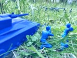20250604_160328adj
