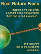 1358499456781