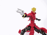 vashxgun